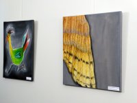 p1020178-k.jpg
